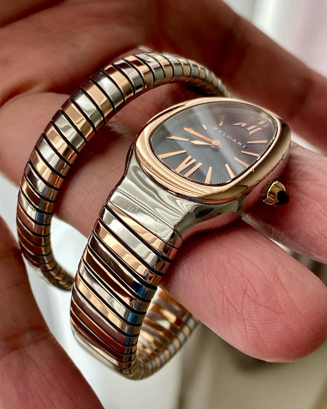 New Bvlgari Serpenti Tubogas