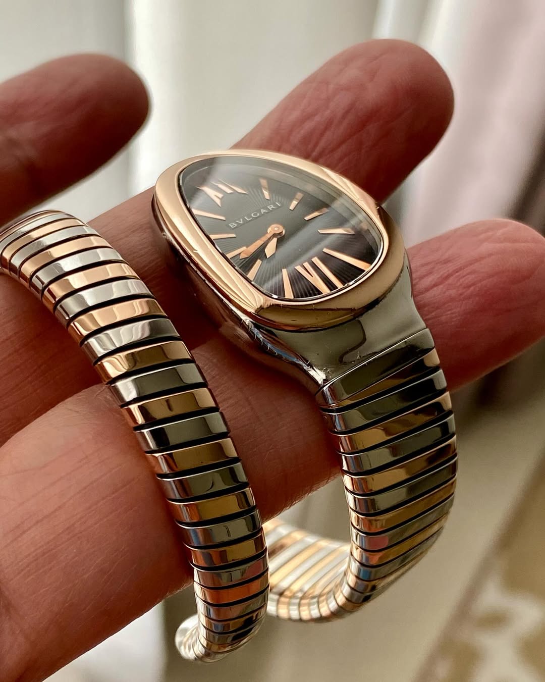 New Bvlgari Serpenti Tubogas