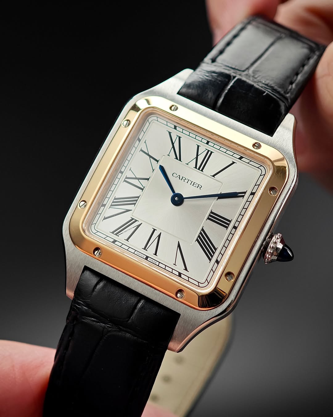 Cartier Santo W2SA0011